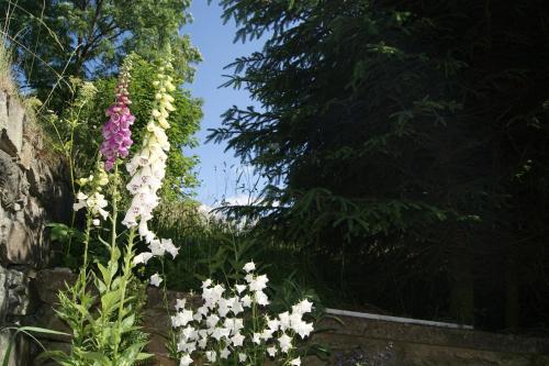 Valinka - chata pod rozhlednou Val, Červená Voda (foto 9)
