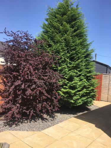 Picture of A Wee House In The Highlands