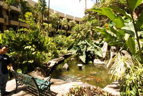 Castle Paki Maui - image 2