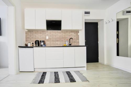 Apartament Lelewela 8 in Olsztyn City Center