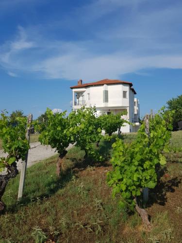  High-Standing Residence in 57019 Thessaloniki