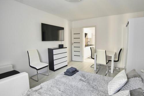 Apartament Lelewela 8 in Olsztyn City Center