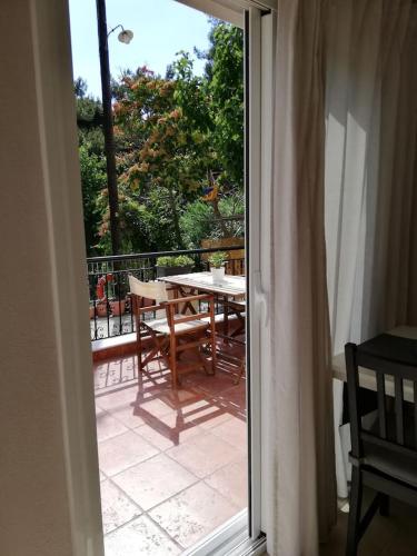 Forest 22 in Kavala