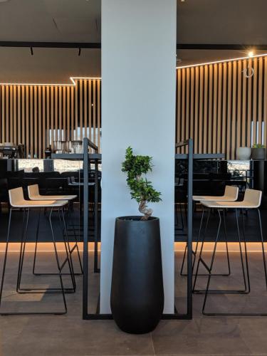 The Alex The Alex图片