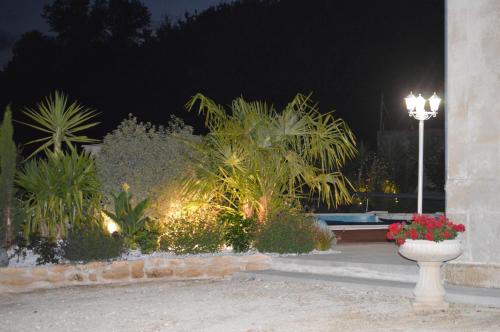 L'Oasis - image 2