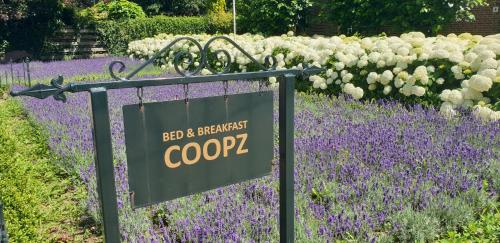 Bed & Breakfast Coopz