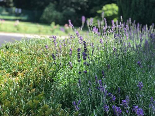  Castle Guest House in Hannut