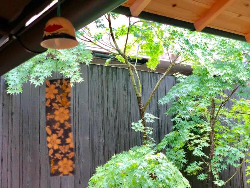Hiyori Gojo – Kyoto, IL