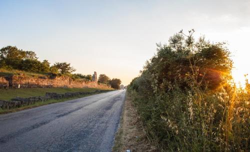 Fuori le Mura – Paestum, UT