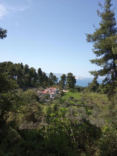  Houni House, Unterkunft in Agriovótanon
