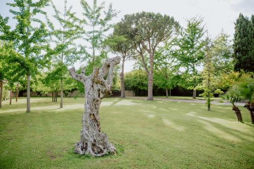 Fuori le Mura - image 3