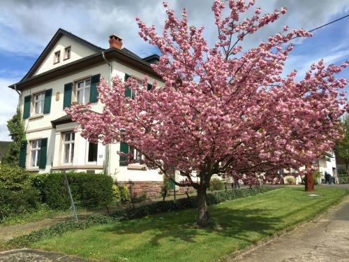 Viesnīcas āriene, Ferienbungalow Kampenheissji in Wiltingen