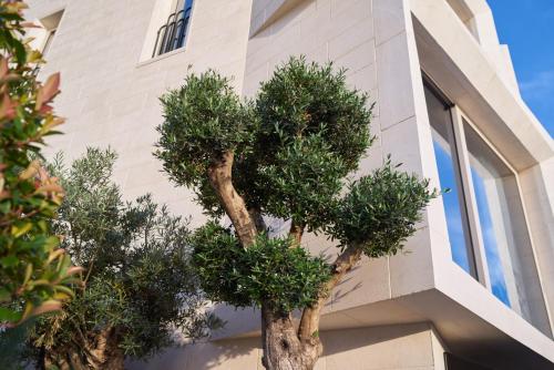 Corso Levante Luxury Suites Dobrota - image 14