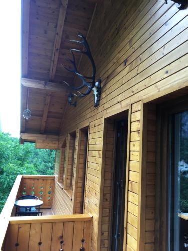 Vila Alexander B&B - image 6