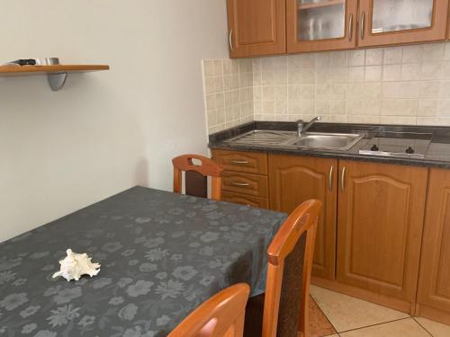 Apartments Albatross - image 8