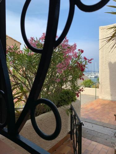 La terrasse tropézienne