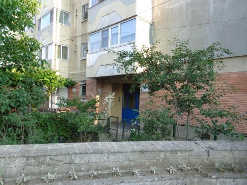 Studio Munteanu - image 4