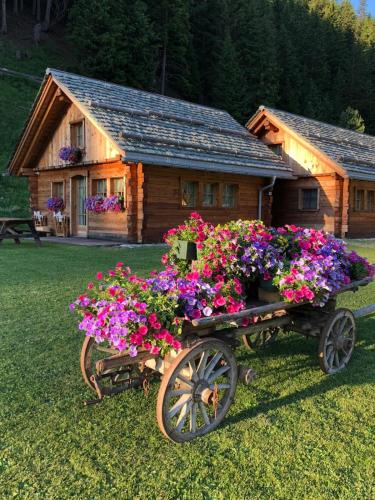 Alpine Chalet, Santa Caterina Valfurva (foto 7)
