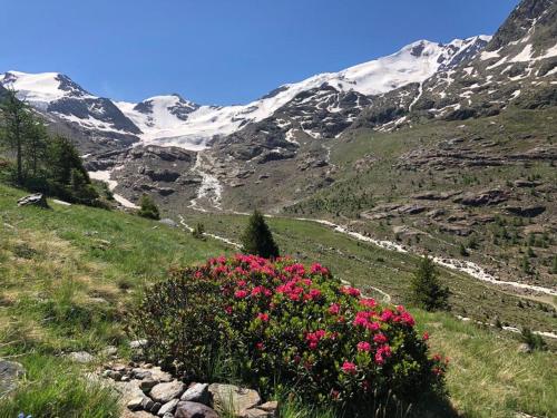 Alpine Chalet, Santa Caterina Valfurva (foto 4)