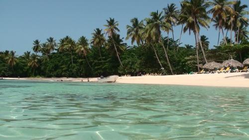 Beach, bungalow 3116 vue sur piscine in Las Galeras