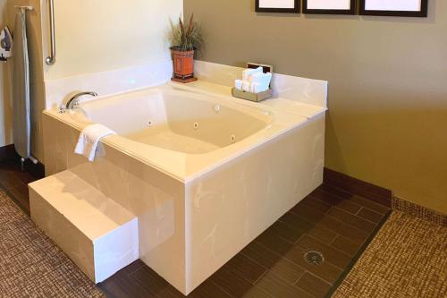 Comfort Suites Texas Avenue - image 4