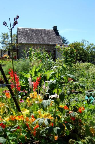 Chateauret - image 4