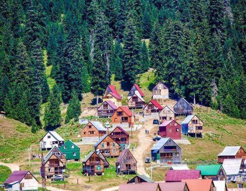 Chika Agoda提供写真