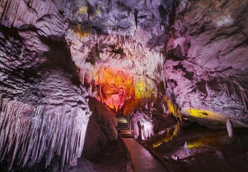 Chika Agoda提供写真