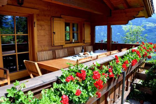 Chalets & Apartments Wachterhof - image 11