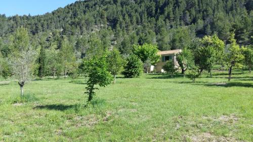 VILLA GABRIEL, villa entière en pleine nature, wifi - Buis-les-Baronnies