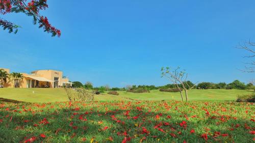 Vipingo Ridge-Swahili Villa