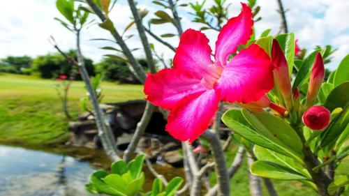 Vipingo Ridge-Swahili Villa