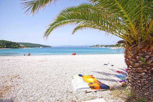  Apartmani Mia Šolta in Nečujam
