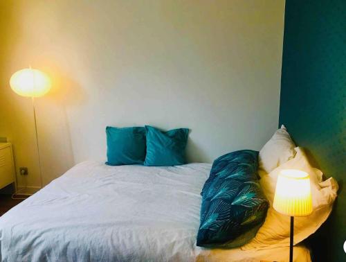 Chambre cosy 16 kms Paris Sud