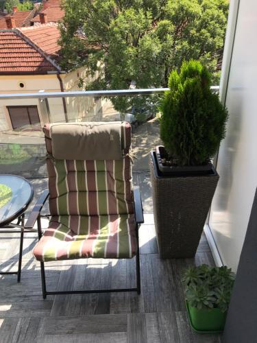 Pavlović (Pavlovic) in Jadar