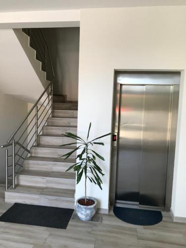 Pavlović (Pavlovic) in Jadar