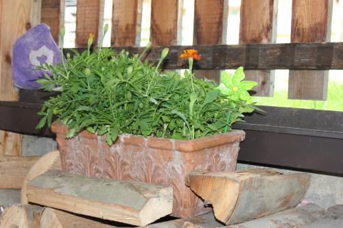 Ferienwohnung Lasshofer - image 14