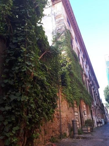 Riari 59 Rome - Trastevere