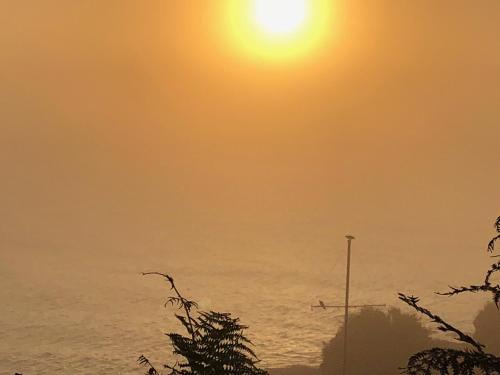 Membly Hall Hotel - image 7