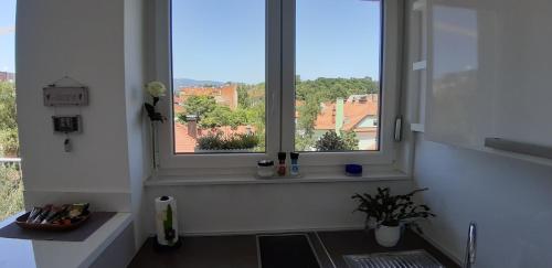 Bellevue Apartment - main image