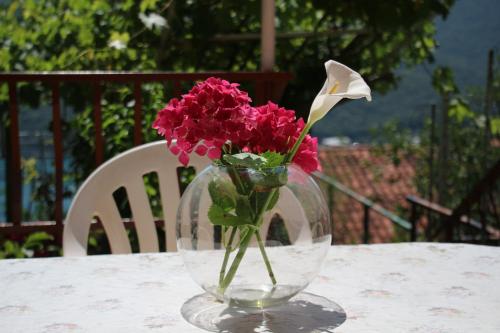  Leonora, Unterkunft in Rabac