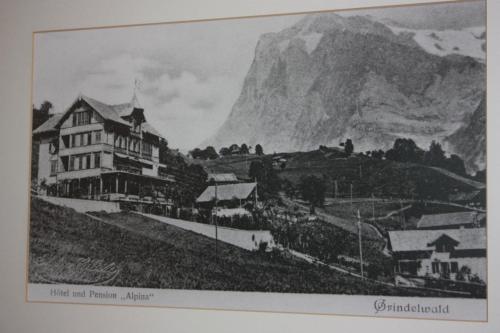 Hotel Restaurant Alpina - image 5