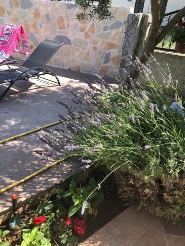  Denis Rooms and Apartments in Bibinje