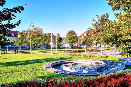 Studio apartman CENTAR