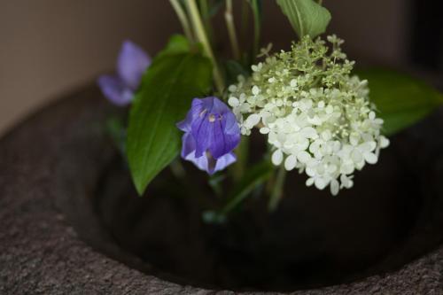 Bed & Breakfast Tsukiya – Kyoto, IL
