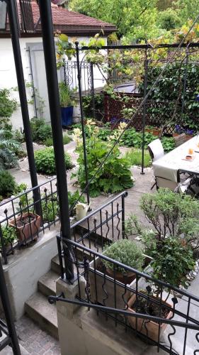 Good4Yew BnB, Zurigo (foto 6)