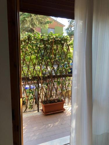 CASA ROSI - image 3