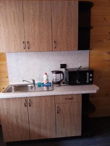 Van 2 - image 8