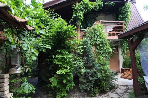 Apartamenty pod Wiciokrzewem - image 4