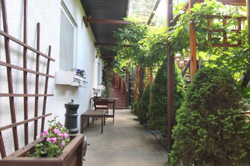 Apartamenty pod Wiciokrzewem - image 5